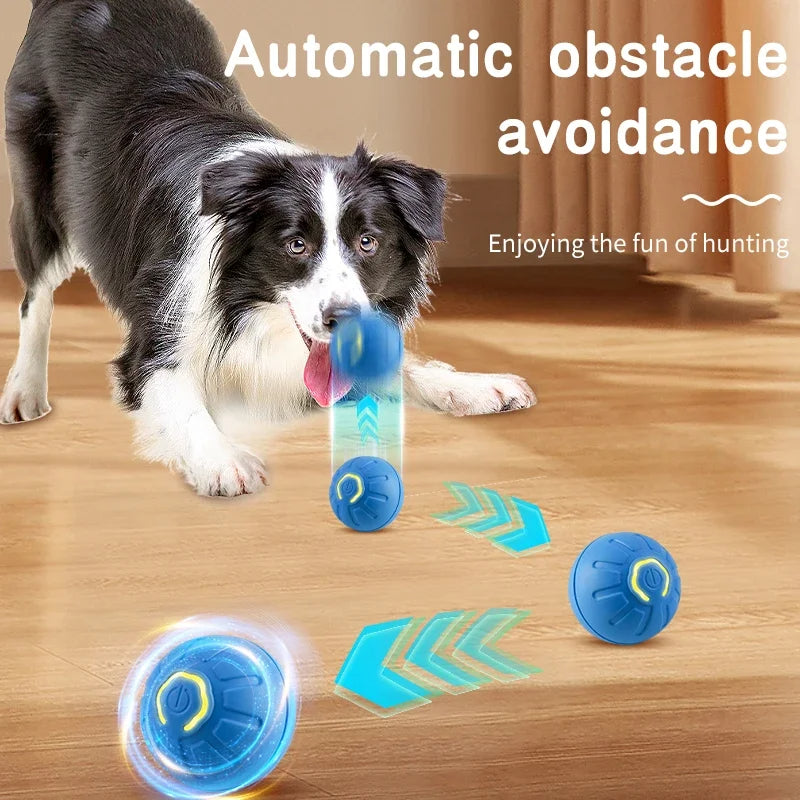 PawVibe™ Smart Play Ball