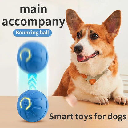 PawVibe™ Smart Play Ball
