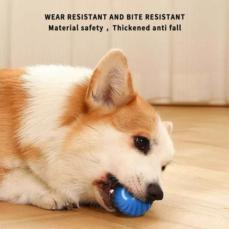 PawVibe™ Smart Play Ball