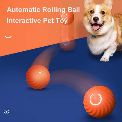 PawVibe™ Smart Play Ball