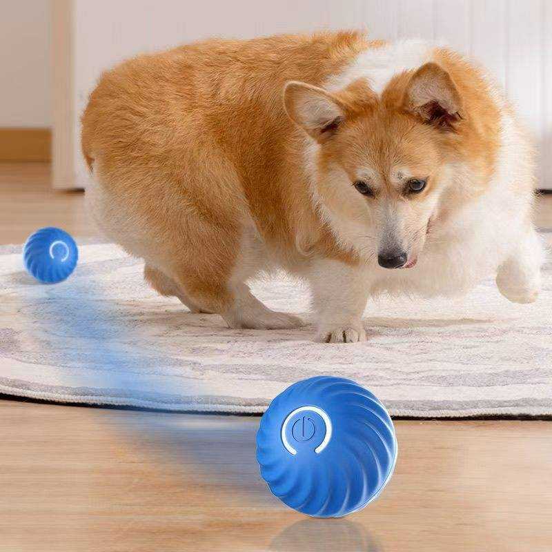 PawVibe™ Smart Play Ball